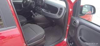 FIAT Panda Cross usata, con Servosterzo