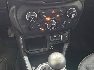 JEEP Renegade usata, con Vivavoce