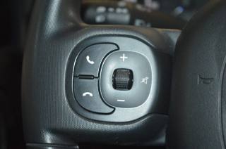 FIAT Panda Cross usata, con Immobilizzatore elettronico