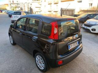 FIAT Panda usata, con Antifurto