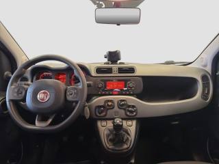 FIAT Panda usata 10