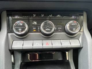 SKODA Karoq usata 19