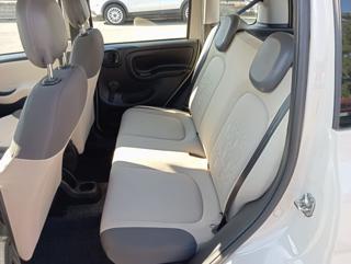 FIAT Panda usata, con Airbag testa