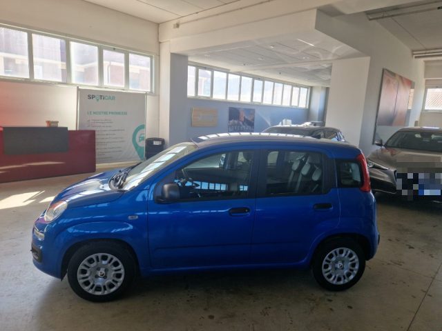 FIAT Panda usata, con Antifurto