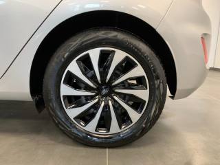 FORD Fiesta usata, con Controllo vocale