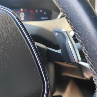 PEUGEOT 3008 usata, con Leve al volante