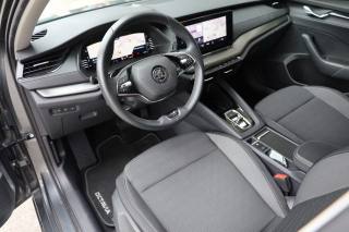 SKODA Octavia usata, con Airbag laterali