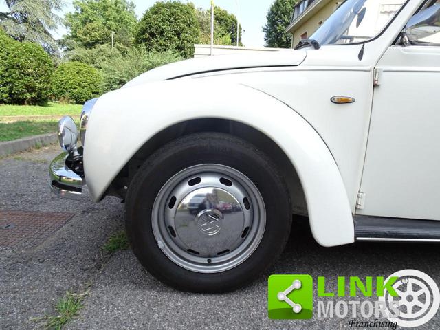 VOLKSWAGEN Maggiolone usata 15