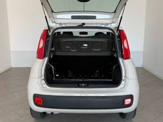 FIAT Panda usata 6