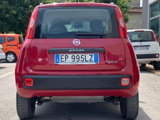 FIAT Panda usata 14