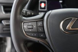 LEXUS UX 250h usata 33