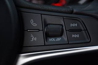 ALFA ROMEO Stelvio usata, con Controllo vocale