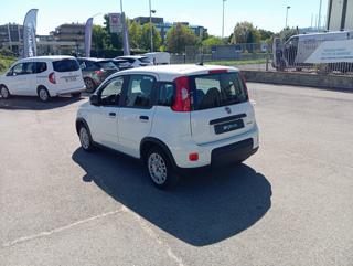 FIAT Panda usata, con Climatizzatore