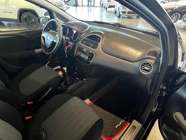 FIAT Punto usata 13