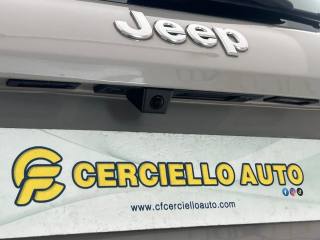 JEEP Avenger usata, con Volante in pelle