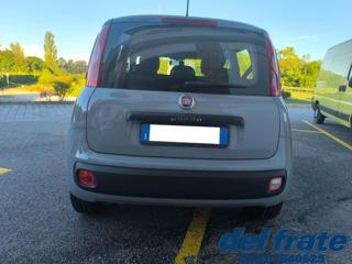 FIAT Panda usata, con Alzacristalli elettrici