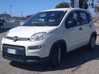 FIAT Panda usata, con Airbag Passeggero