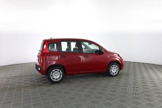 FIAT Panda usata 2