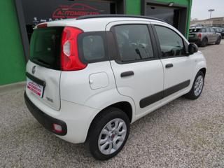 FIAT Panda usata, con Chiusura centralizzata