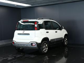 FIAT Panda Cross usata, con Alzacristalli elettrici