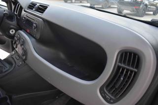 FIAT Panda usata 12