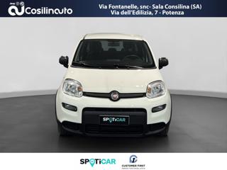 FIAT Panda usata, con Cerchi in lega