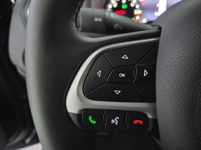 JEEP Renegade usata, con Cruise Control