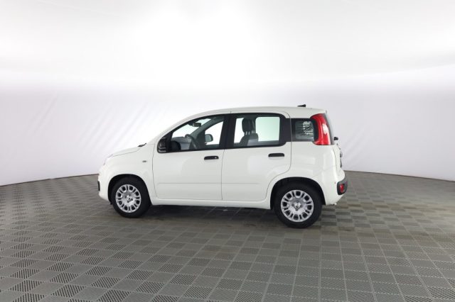 FIAT Panda usata 5