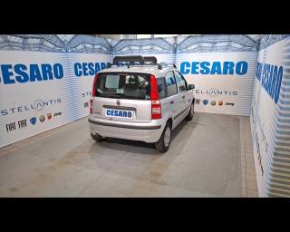 FIAT Panda usata, con Airbag Passeggero