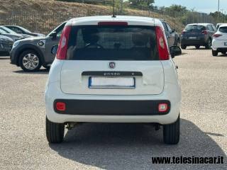 FIAT Panda usata 6