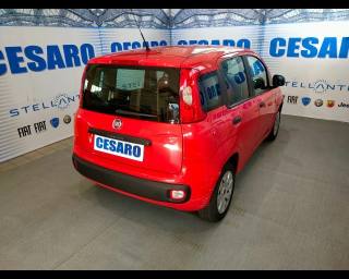 FIAT Panda usata, con Airbag Passeggero