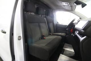 FIAT Scudo usata, con Bracciolo