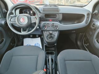 FIAT Panda usata, con Antifurto