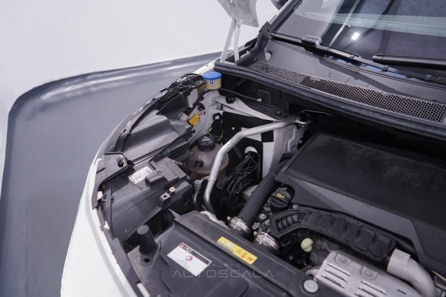 PEUGEOT 5008 usata 32