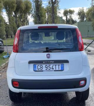 FIAT Panda usata 17