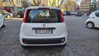 FIAT Panda usata, con Boardcomputer