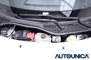 RENAULT Twingo usata 60