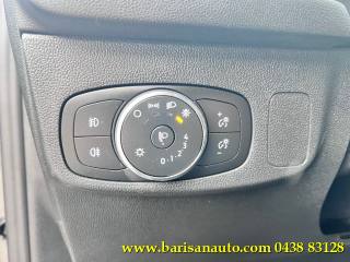 FORD Focus usata, con Fendinebbia