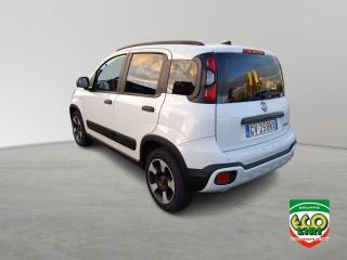 FIAT Panda Cross usata, con Controllo trazione