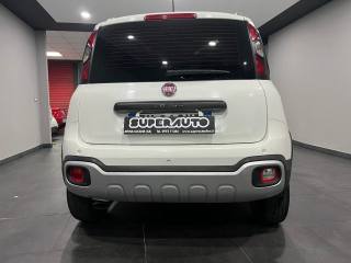 FIAT Panda Cross usata, con Alzacristalli elettrici