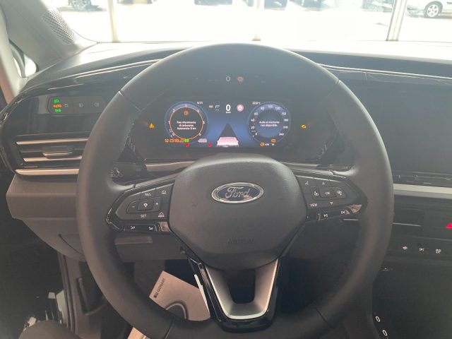 FORD Tourneo Connect usata, con Bracciolo