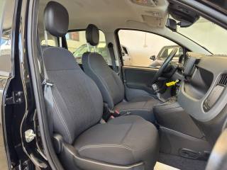 FIAT Panda usata, con Controllo trazione