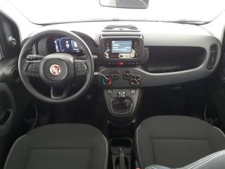 FIAT Panda usata, con Controllo trazione
