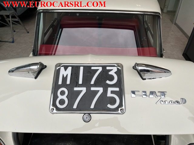 FIAT 1100 usata 17