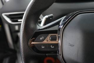 PEUGEOT 3008 usata 35