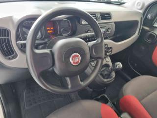 FIAT Panda usata, con Chiusura centralizzata telecomandata