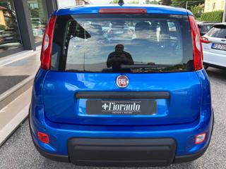 FIAT Panda usata, con Alzacristalli elettrici