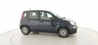 FIAT Panda usata, con Airbag testa