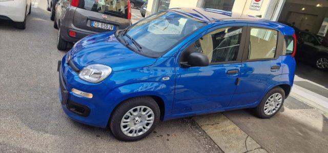 FIAT Panda usata, con Alzacristalli elettrici