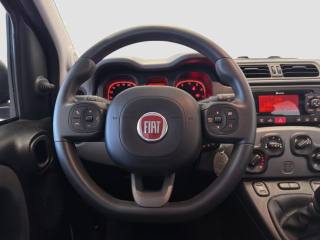 FIAT Panda usata 11